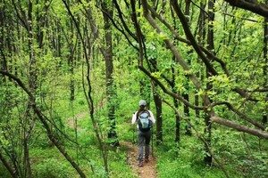 【周日·徒步特价99元】3月9日蔡甸九真山防空洞单日探秘