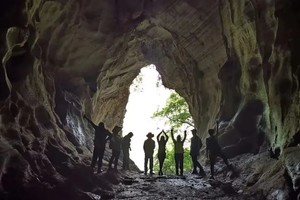 【周六-魔道-8岁以上】12月6日黄石魔道/森林穿越之藤条攀爬