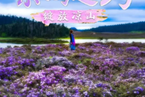 【新线首发 • 云南凉山索玛】4月20-28日一起看山花漫 温泉瀑布 绿野仙踪 秘境龙头山双飞8日行