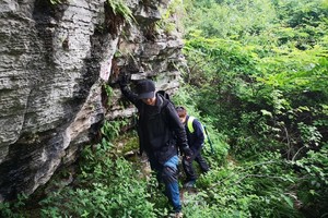 【趣味攀爬】4月12日龙起养生道 单日攀爬活动