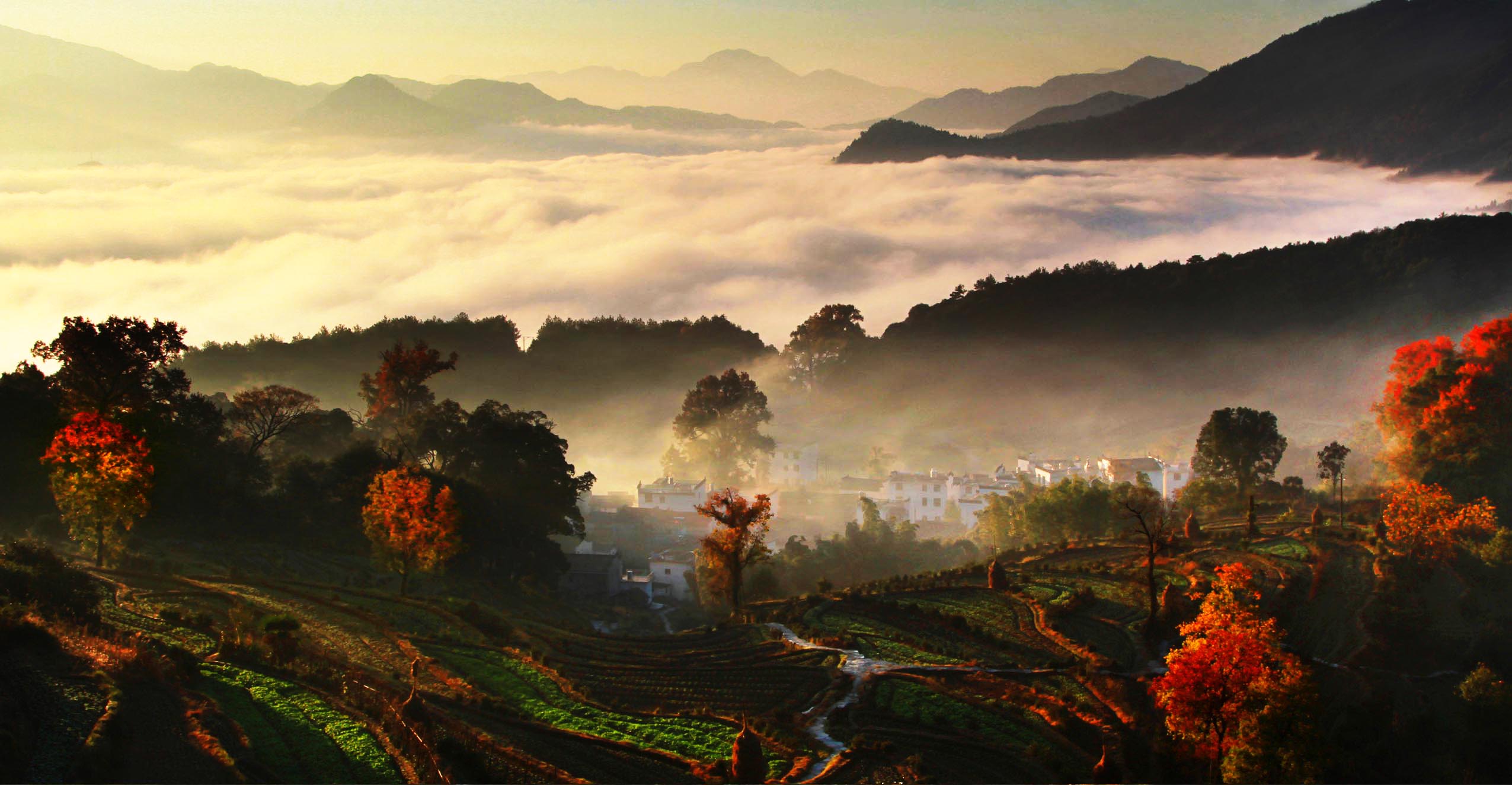 å©ºæºæ±å²­ç§è² å¾æº:å©ºæºææ¸¸å±