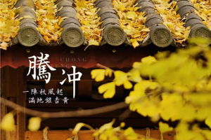 【魅力腾冲•云南国境线-双飞】11月22-30日温泉热海，童话银杏村，最不“芒”边境小城9日游