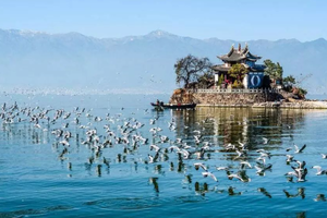 【春节-云南-VIP大巴】2月15-23日彩色大地，抚仙湖、建水古城、元阳梯田、普者黑，罗平油菜花、万峰林，龙宫9日