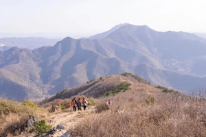 【周六-亲子徒步-6岁以上】11月29日孝感美人谷，6公里小环线徒步