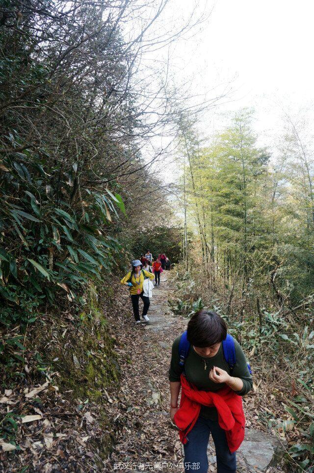 QQ图片20160321222341