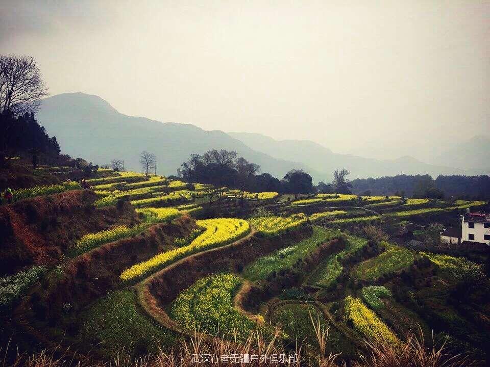 QQ图片20160321231141