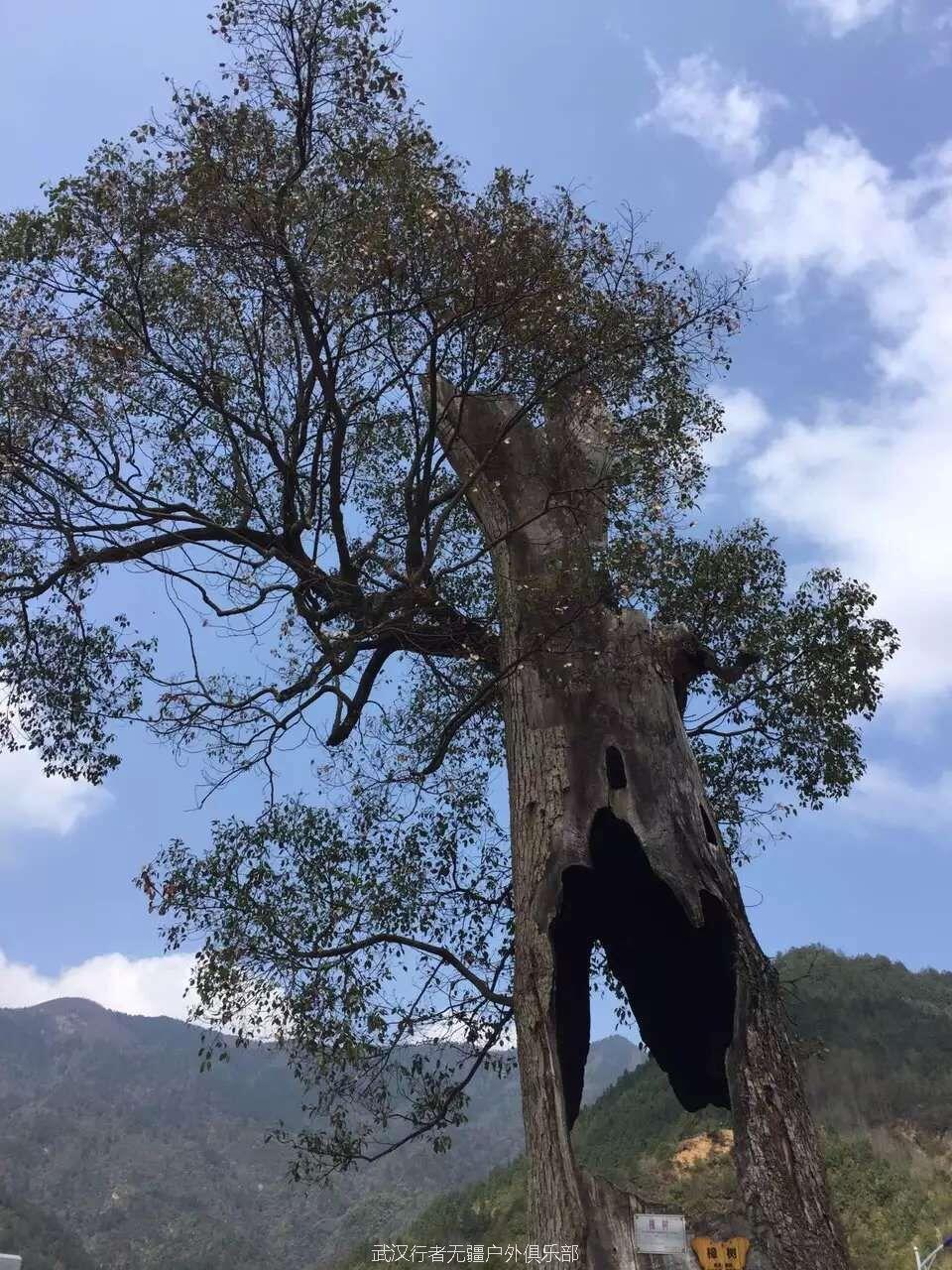 QQ图片20160321231200