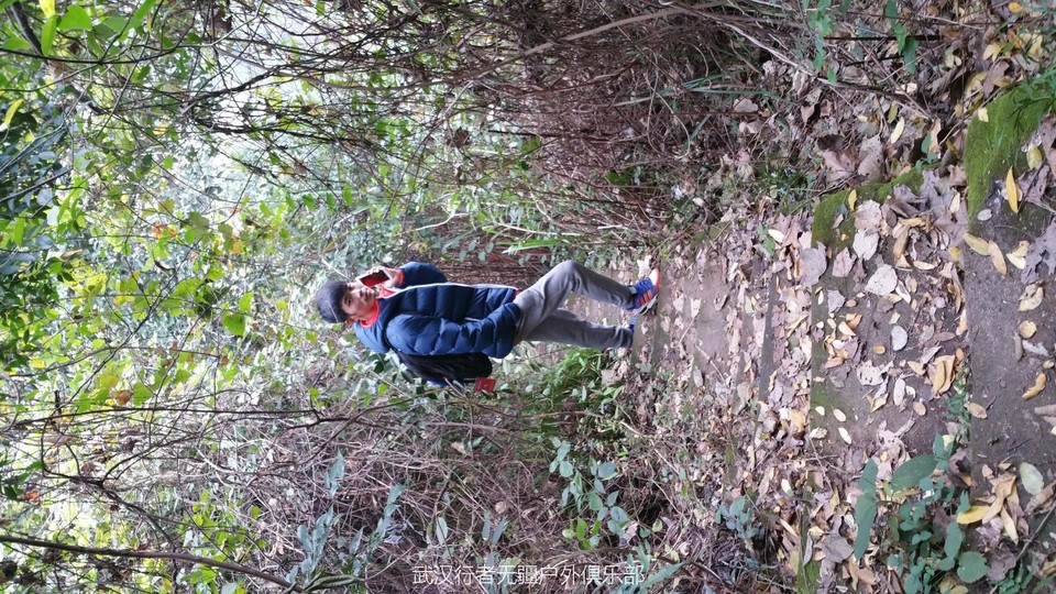 mmexport1482732027593