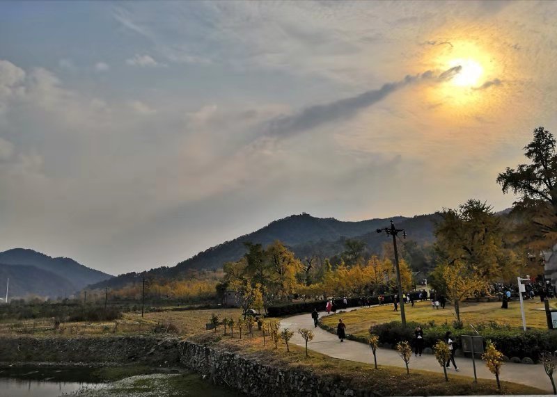 mmexport1541319740707