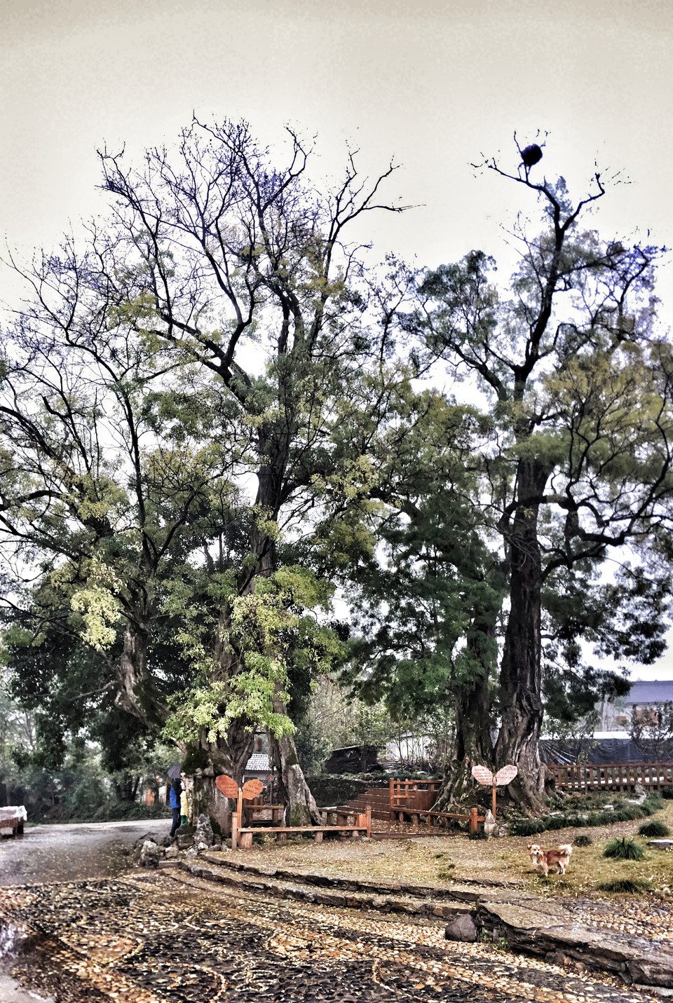 mmexport1541846070887