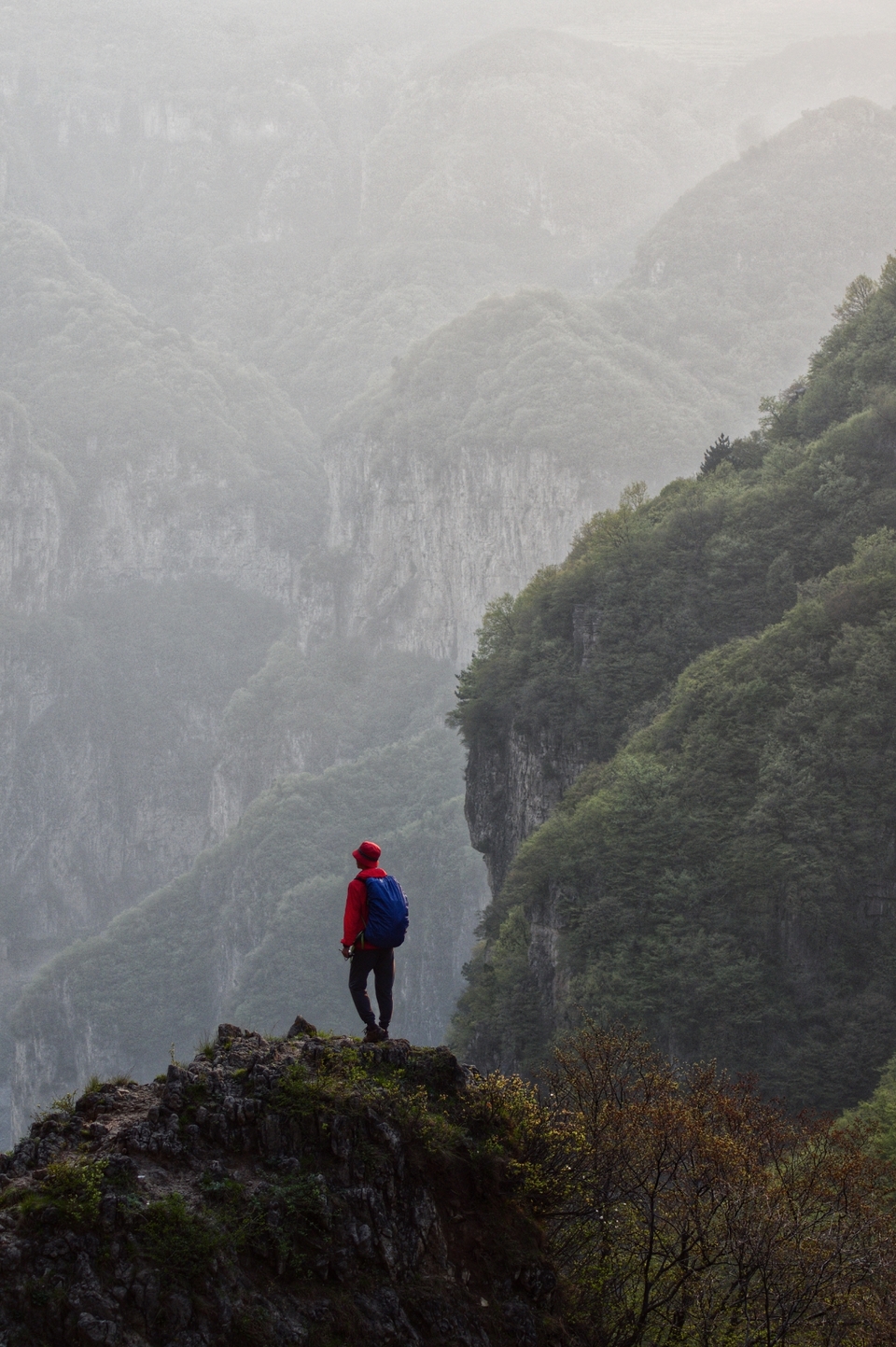 mmexport1541855863089