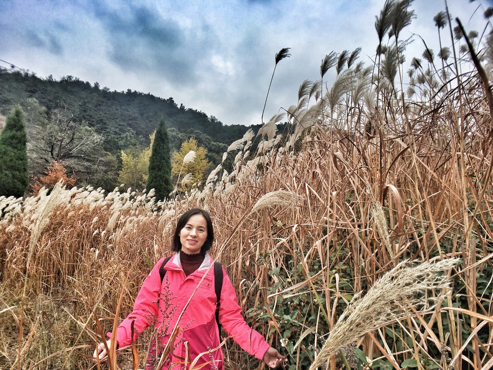 mmexport1542342245465