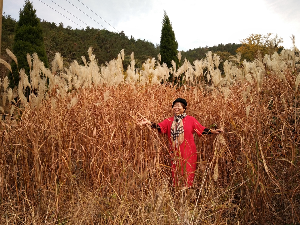 mmexport1542342309329