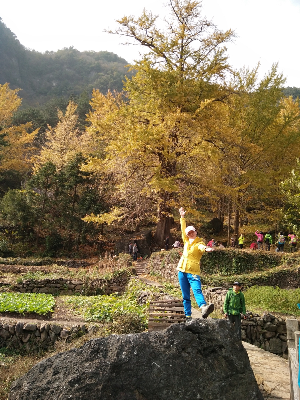 mmexport1542342328552