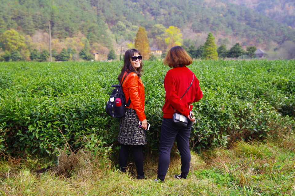 mmexport1542342626294