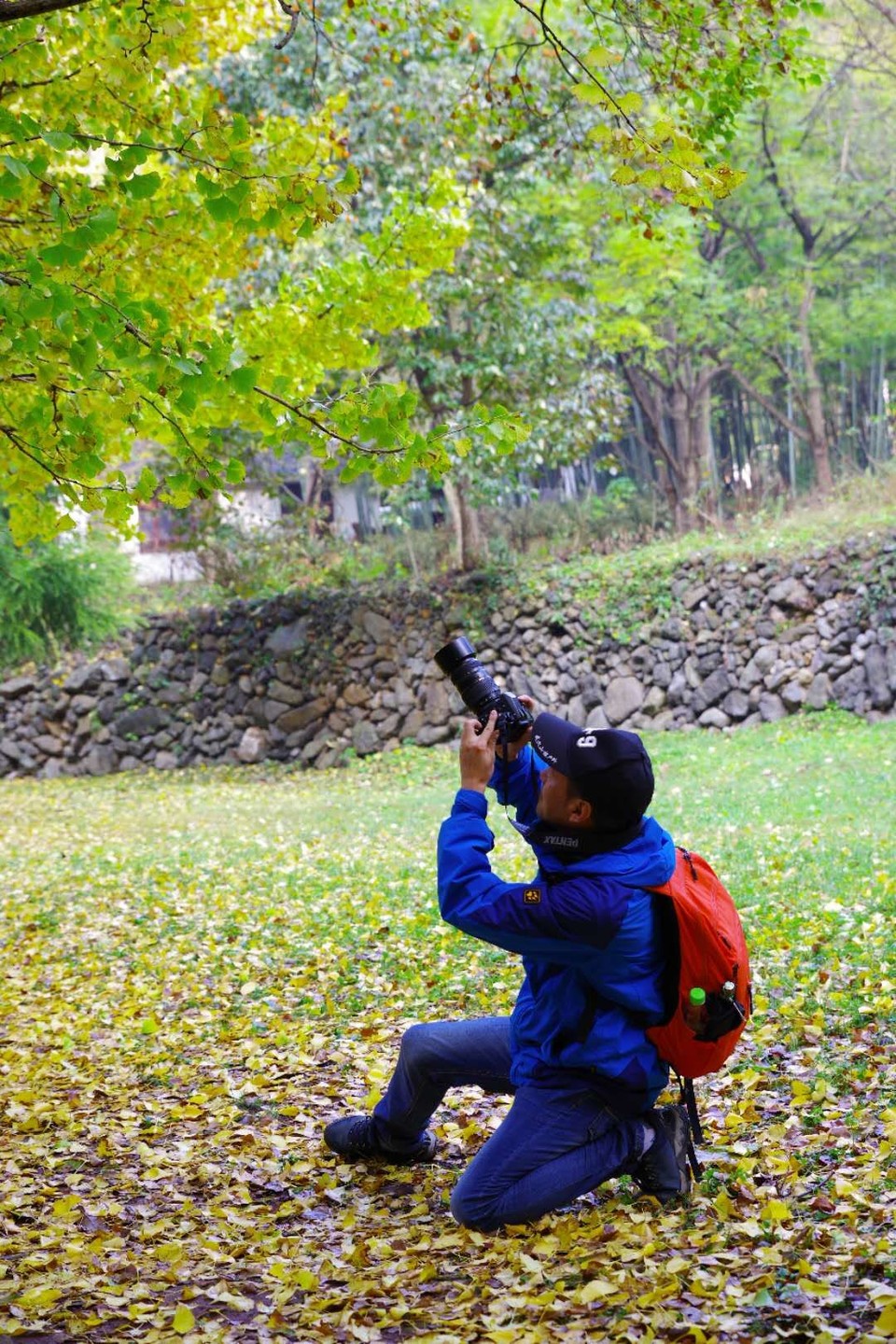 mmexport1542343451381