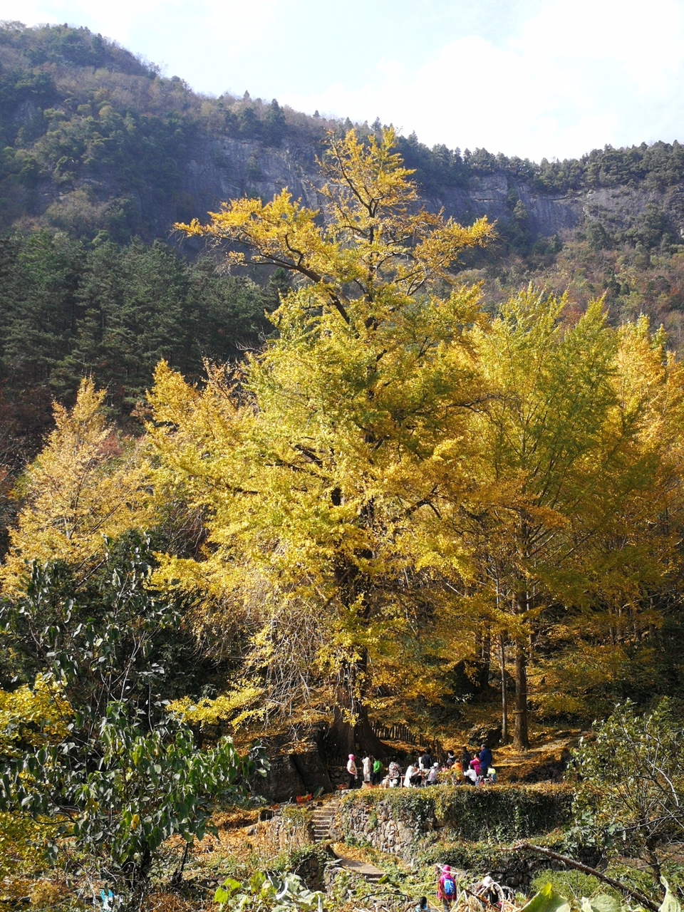 mmexport1542343470642