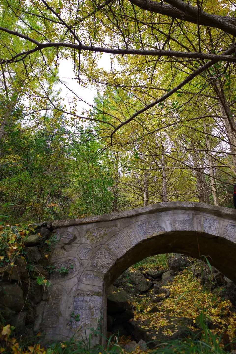 mmexport1542343509213