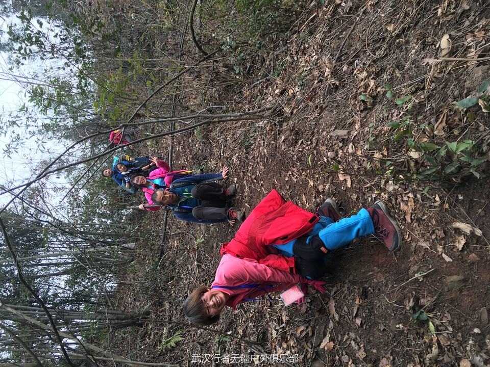 QQ图片20170103151718