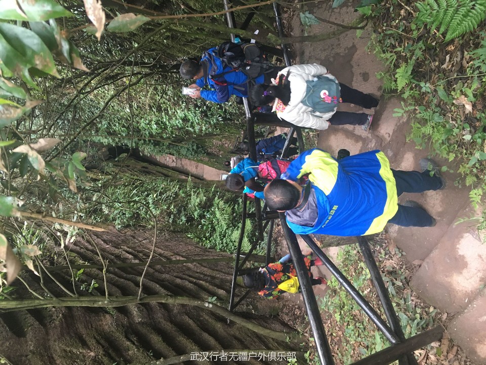 QQ图片20170103152225