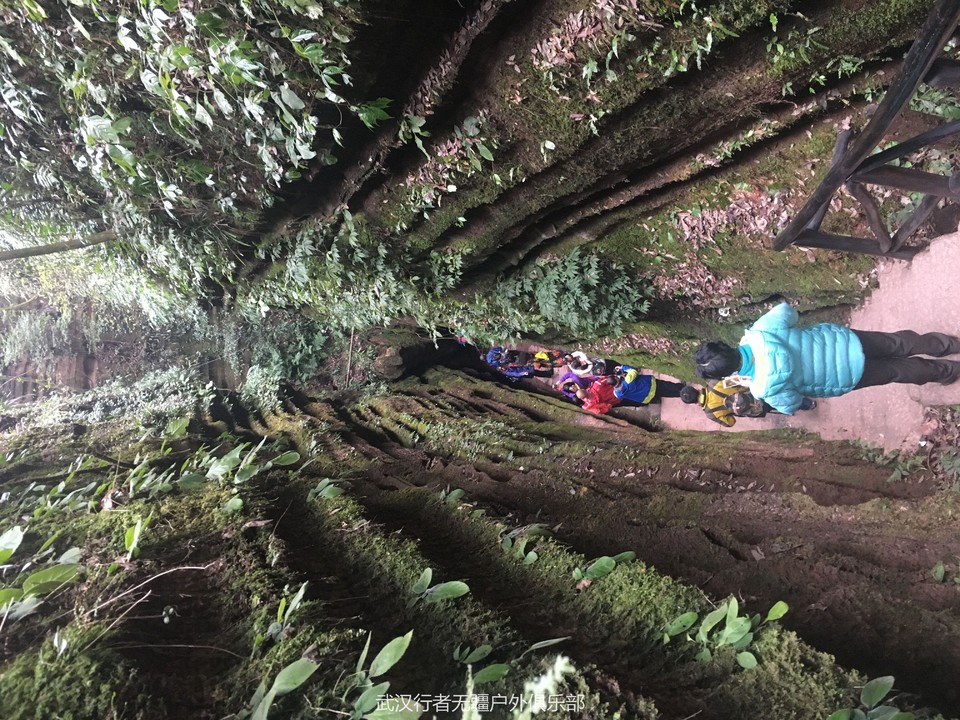 QQ图片20170103152408