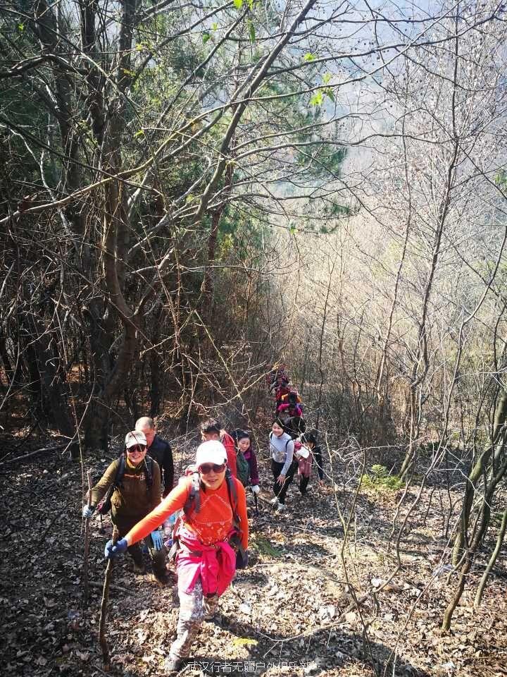 QQ图片20170213135857