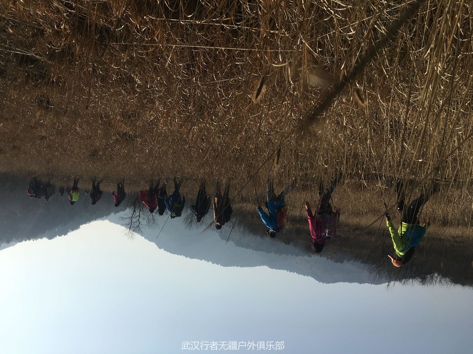 QQ图片20170213135921