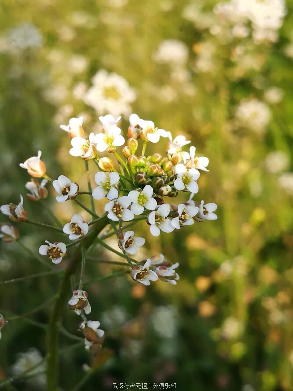 QQ图片20170213140019