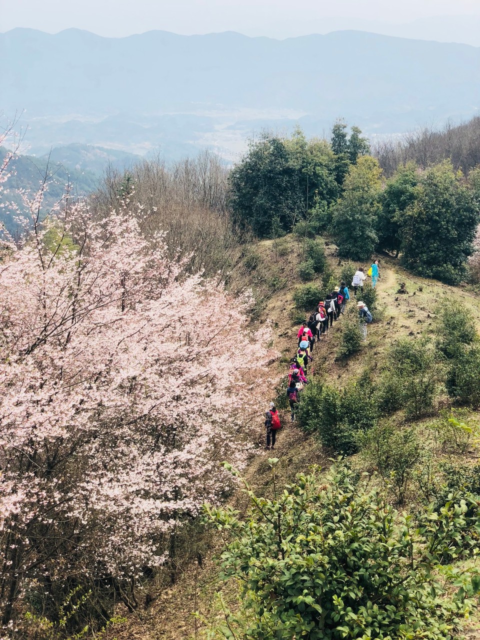 mmexport1520834004190