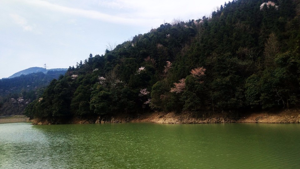 mmexport1520833935886