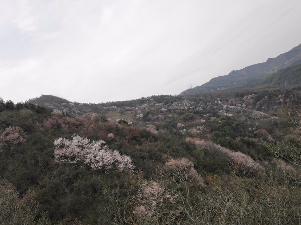 mmexport1520833924053