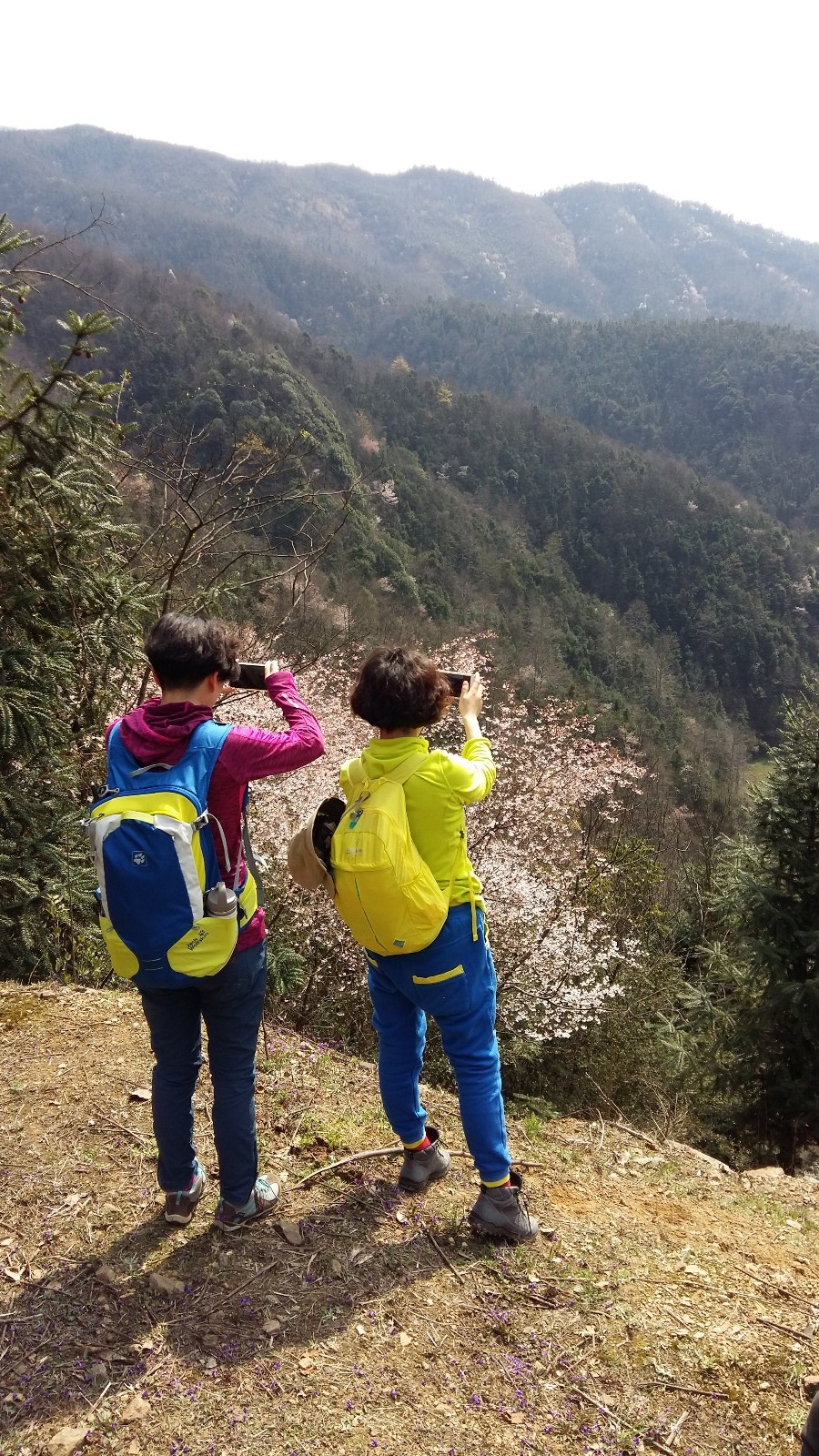 mmexport1520833789166