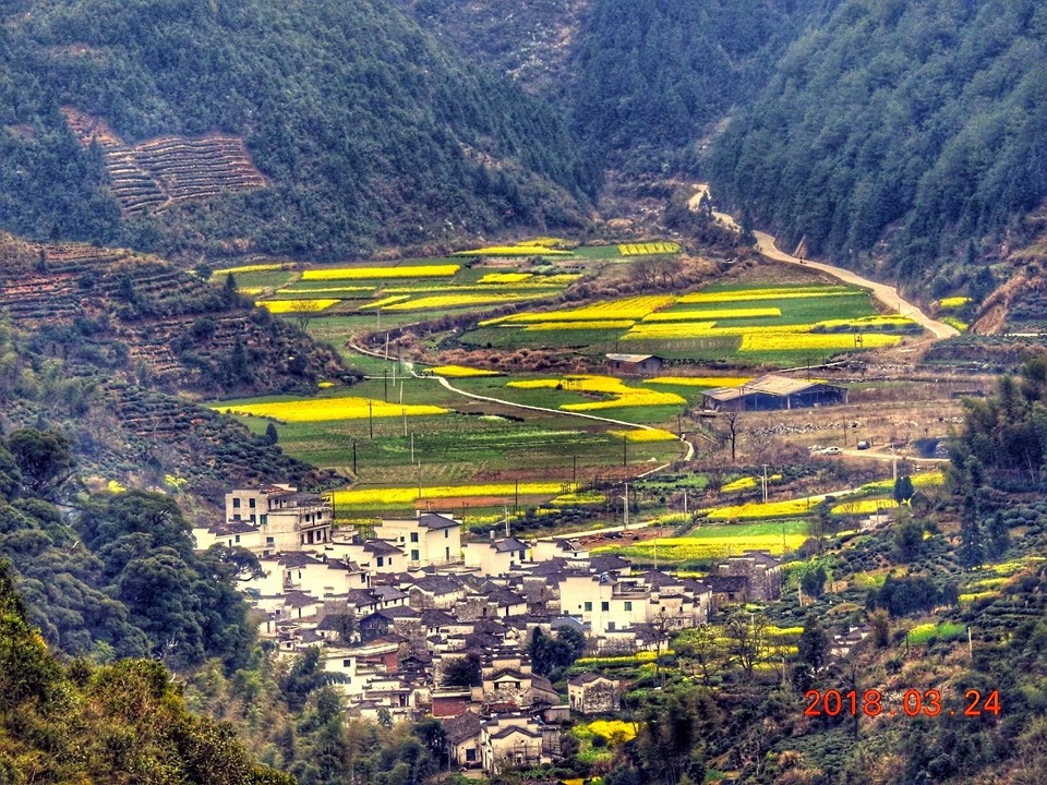 mmexport1522115435349