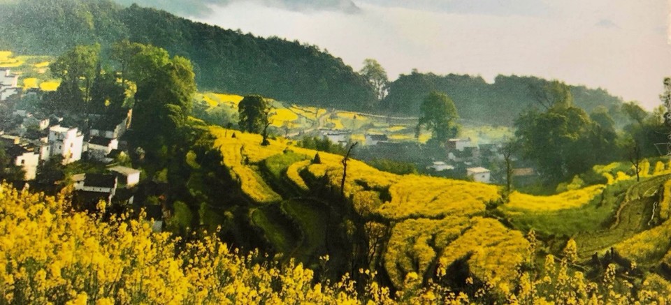 mmexport1522115896814