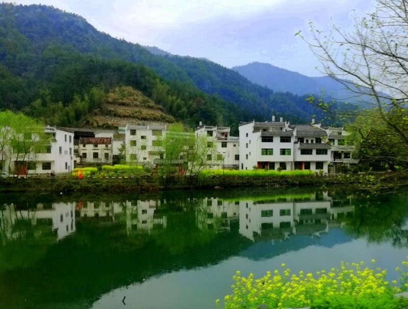 mmexport1522115446226