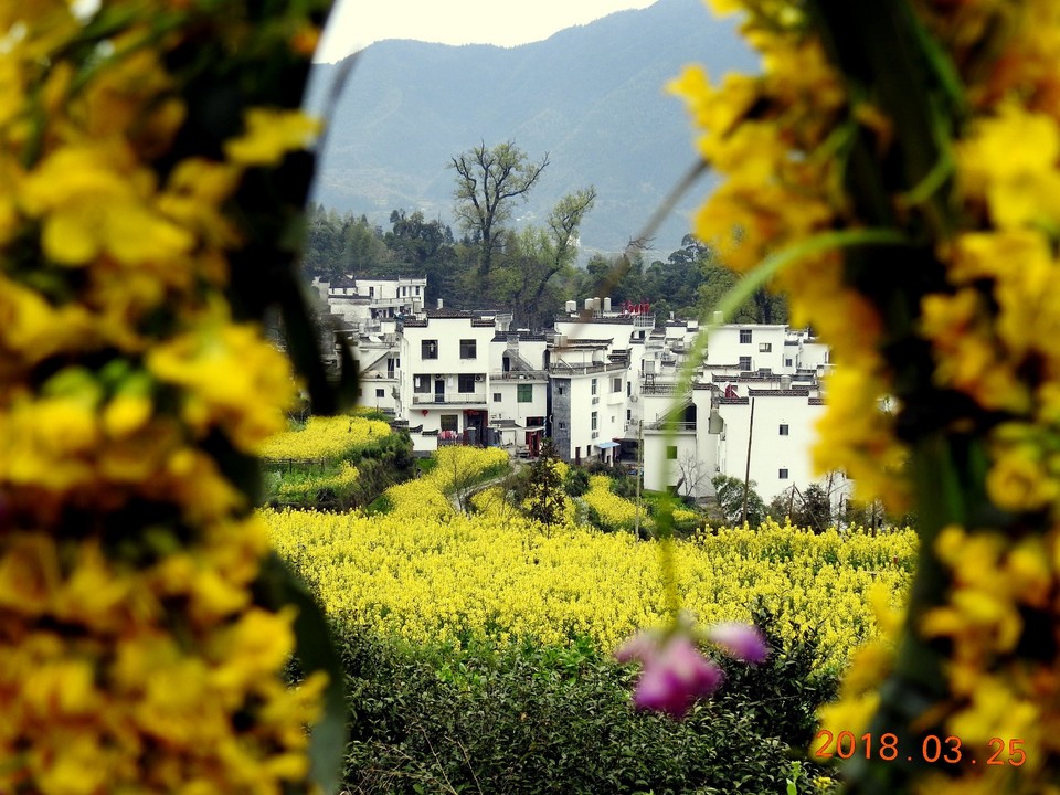 mmexport1522115510020