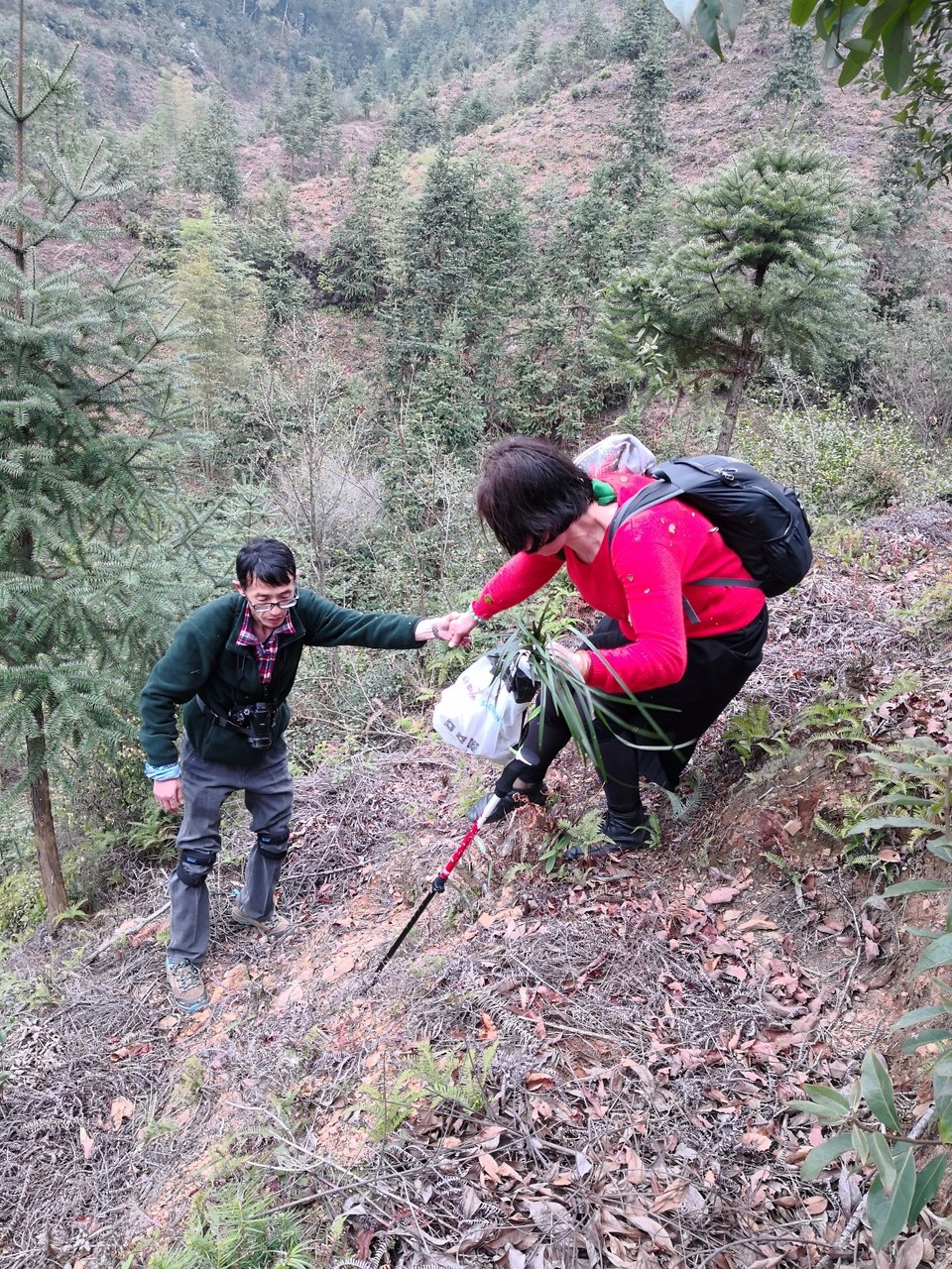 mmexport1522115638143