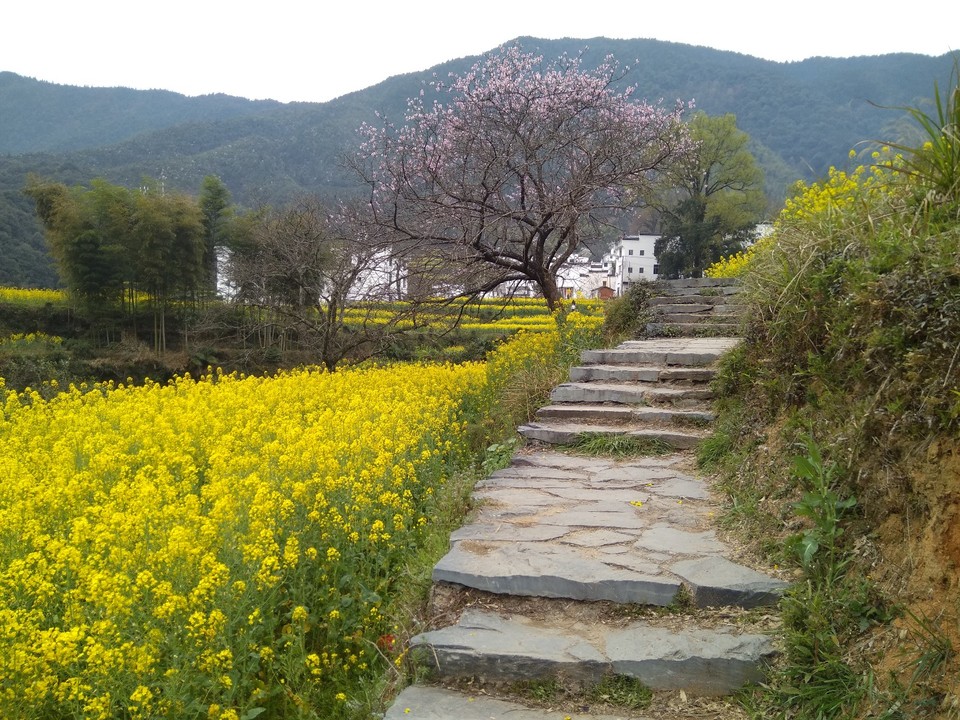 mmexport1522115885236