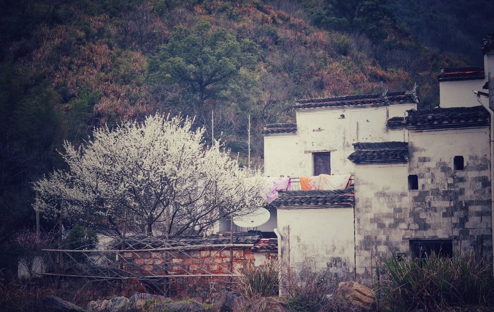 mmexport1521276648020