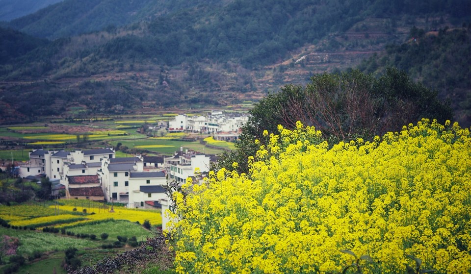 mmexport1521276608273