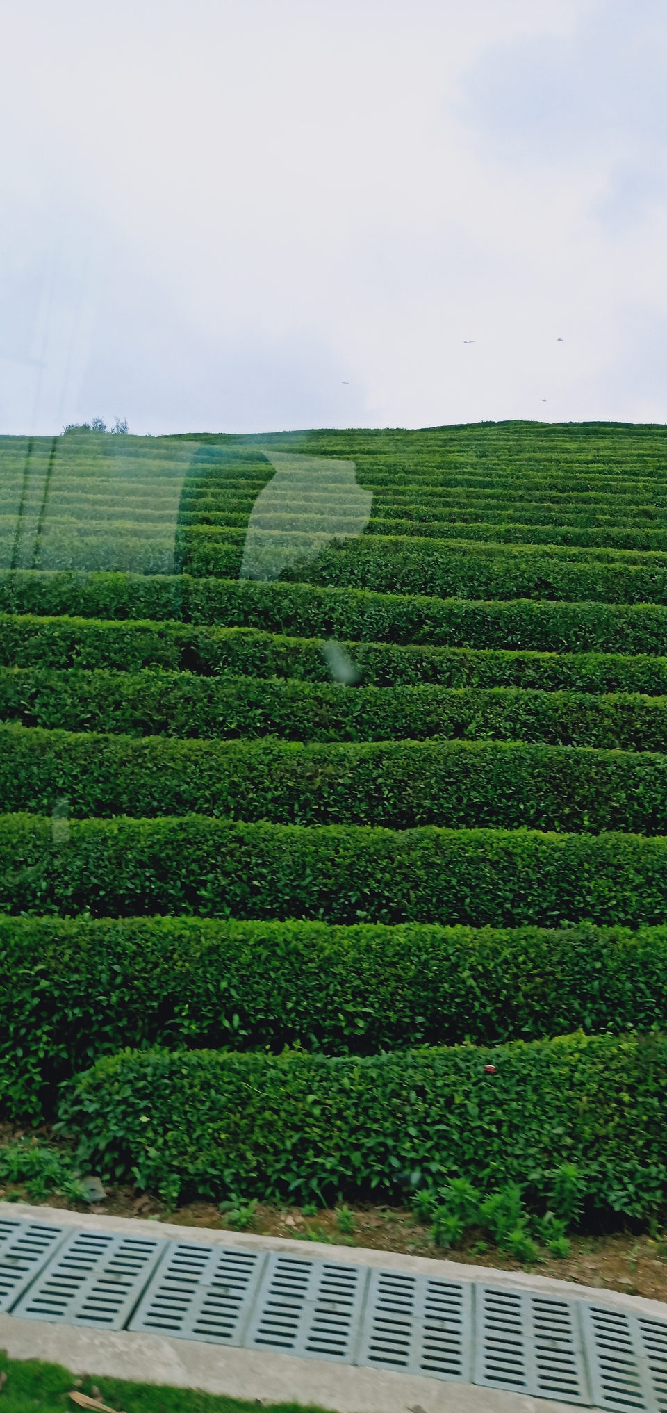 Kfw3b4JOvjM642fY5NEJ5mQyafO-h8-71MVULWDxvC3eYVaxRHF3J2EF9X4BpvLV