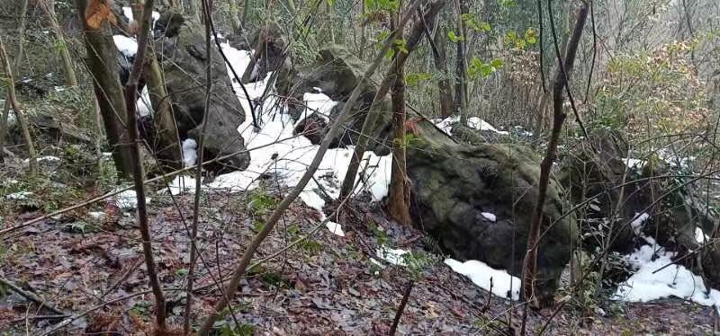 微信图片_20190108103453