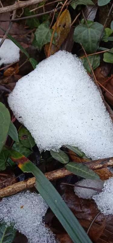 微信图片_20190108103500