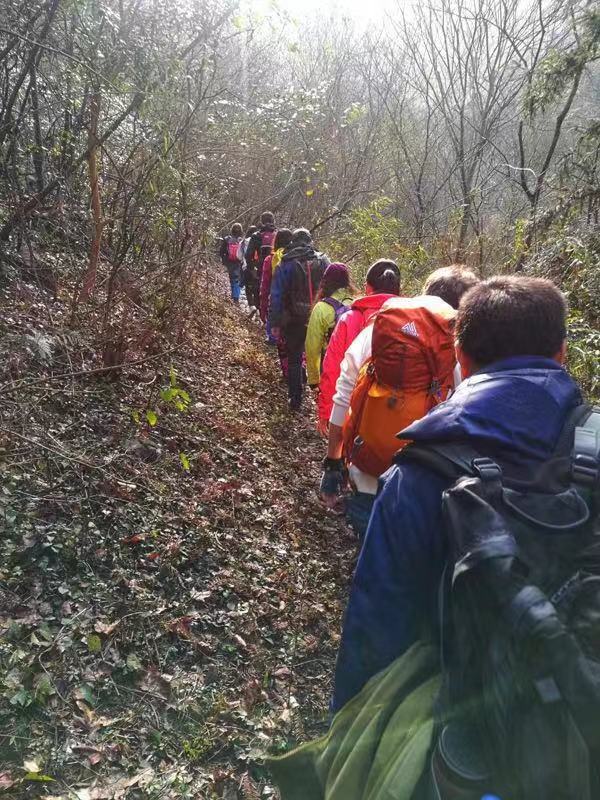 微信图片_20190108103515