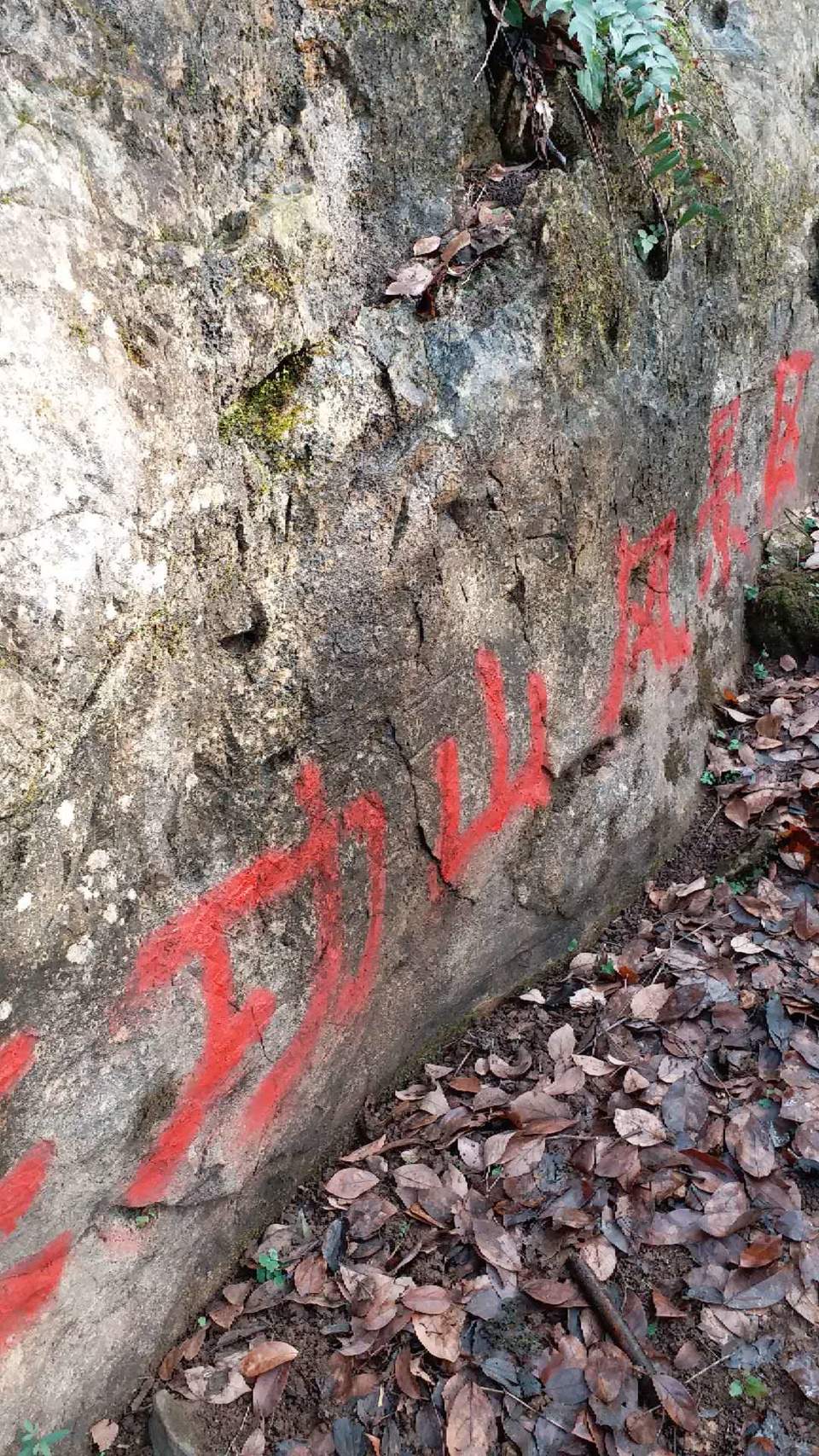 微信图片_20190108103519