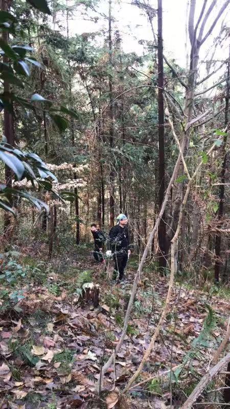 微信图片_20190108103532