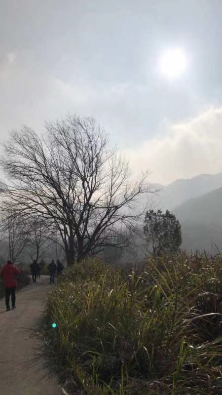 微信图片_20190108123714