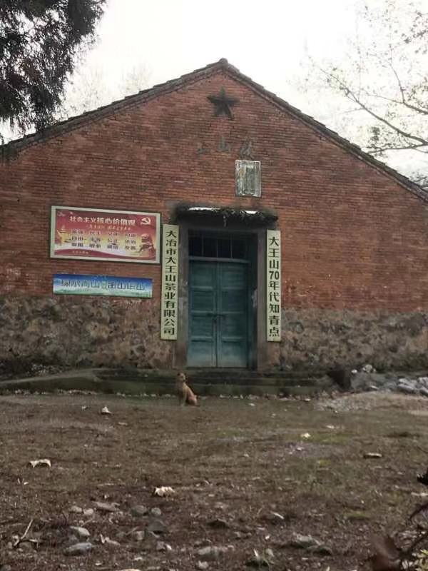 微信图片_20190108123738