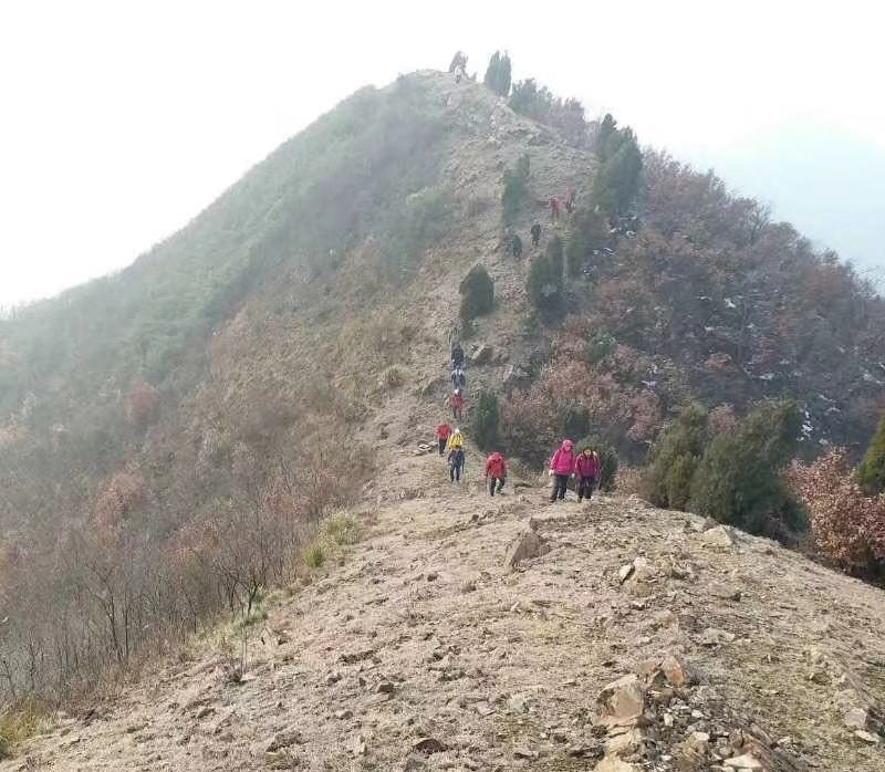 微信图片_20190108123747