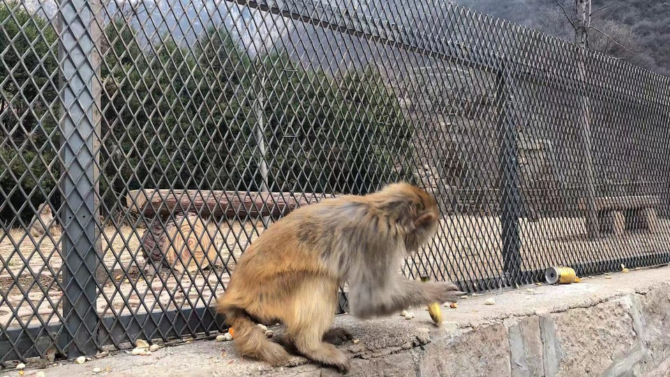 微信图片_2019031110042110